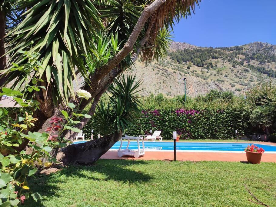 Da Nonna Cettina Appartamento In Villa Con Piscina Palermo Eksteriør billede
